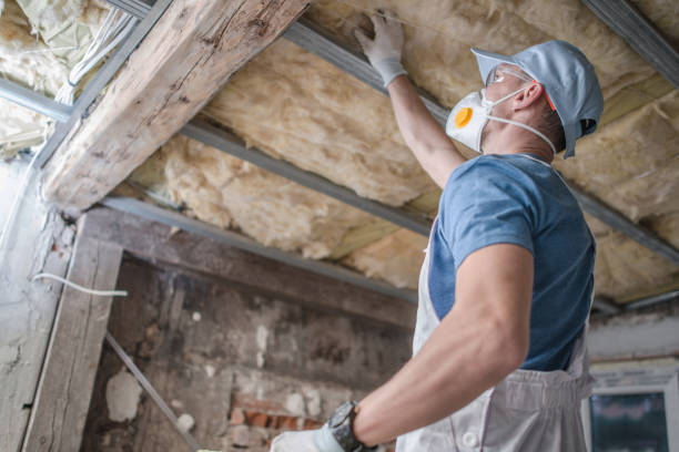 Best Energy Efficiency Solutions in Great Falls, SC