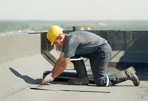 Best Insulation Maintenance and Repair in Great Falls, SC