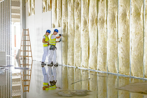 Best Insulation Installation Services in Great Falls, SC